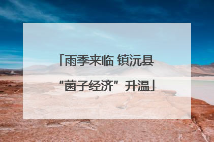 雨季来临 镇沅县“菌子经济”升温