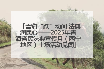雪豹“跃”动间 法典润民心——2025年青海省民法典宣传月（西宁地区）主场活动见闻