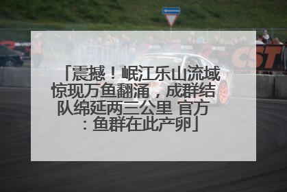 震撼！岷江乐山流域惊现万鱼翻涌，成群结队绵延两三公里 官方：鱼群在此产卵