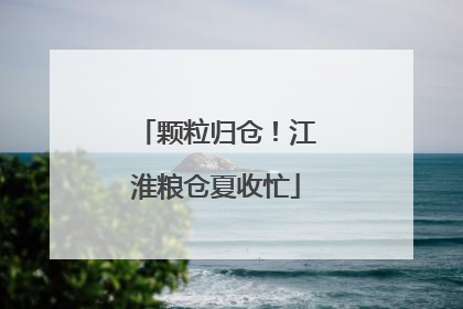 颗粒归仓！江淮粮仓夏收忙
