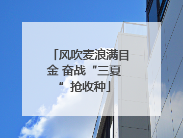 风吹麦浪满目金 奋战“三夏”抢收种