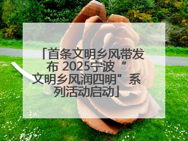 首条文明乡风带发布 2025宁波“文明乡风润四明”系列活动启动