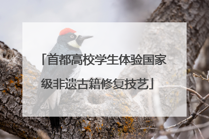 首都高校学生体验国家级非遗古籍修复技艺