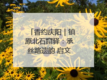 香约庆阳｜镇原北石窟驿：承丝路遗韵 启文旅创新篇章