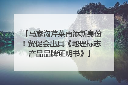 马家沟芹菜再添新身份！贸促会出具《地理标志产品品牌证明书》