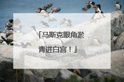 马斯克眼角淤青进白宫！