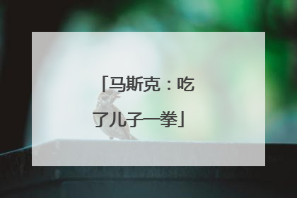 马斯克：吃了儿子一拳