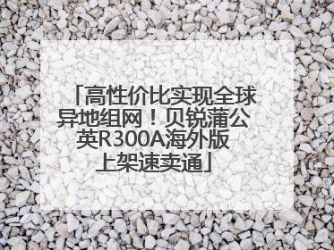 高性价比实现全球异地组网！贝锐蒲公英R300A海外版上架速卖通