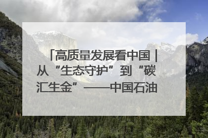 高质量发展看中国｜从“生态守护”到“碳汇生金”——中国石油大庆油田绿色蝶变