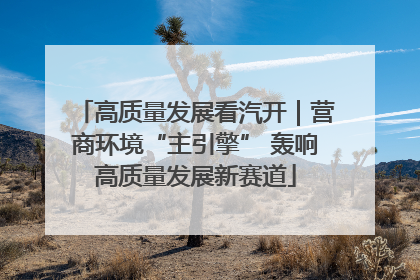 高质量发展看汽开｜营商环境“主引擎” 轰响高质量发展新赛道