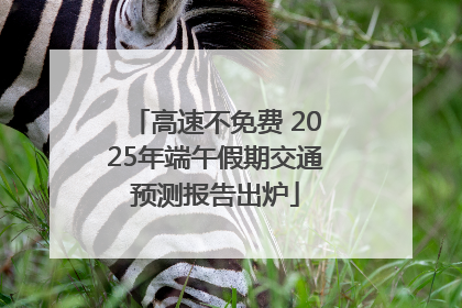 高速不免费 2025年端午假期交通预测报告出炉