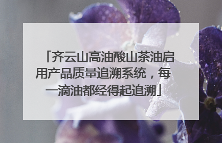 齐云山高油酸山茶油启用产品质量追溯系统，每一滴油都经得起追溯