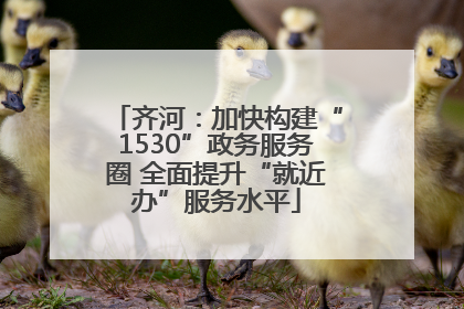 齐河：加快构建“1530”政务服务圈 全面提升“就近办”服务水平