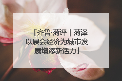 齐鲁·菏评｜菏泽以展会经济为城市发展增添新活力