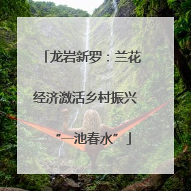 龙岩新罗：兰花经济激活乡村振兴“一池春水”