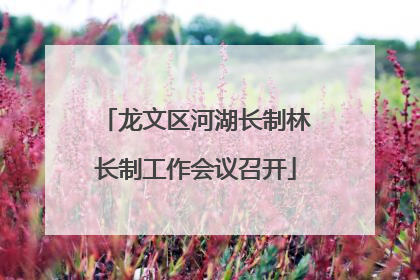 龙文区河湖长制林长制工作会议召开
