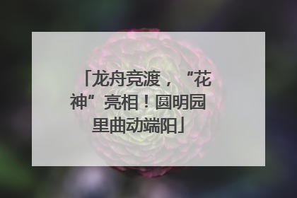 龙舟竞渡，“花神”亮相！圆明园里曲动端阳