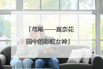 鸢尾——莫奈花园中的彩虹女神