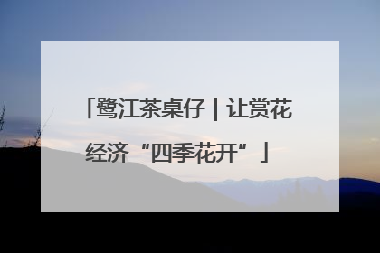 鹭江茶桌仔｜让赏花经济“四季花开”