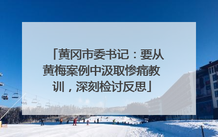 黄冈市委书记：要从黄梅案例中汲取惨痛教训，深刻检讨反思