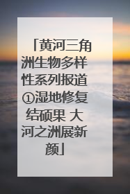 黄河三角洲生物多样性系列报道①湿地修复结硕果 大河之洲展新颜
