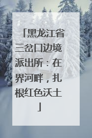 黑龙江省三岔口边境派出所：在界河畔，扎根红色沃土