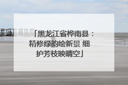 黑龙江省桦南县：精修绿韵绘新景 细护芳枝映晴空