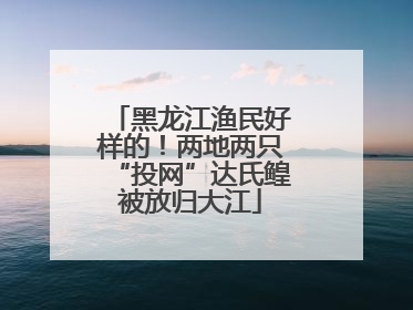 黑龙江渔民好样的!两地两只“投网”达氏鳇被放归大江