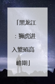 黑龙江：狮虎进入繁殖高峰期
