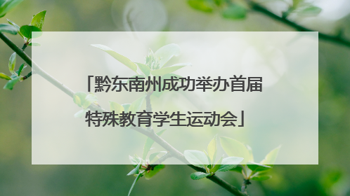 黔东南州成功举办首届特殊教育学生运动会