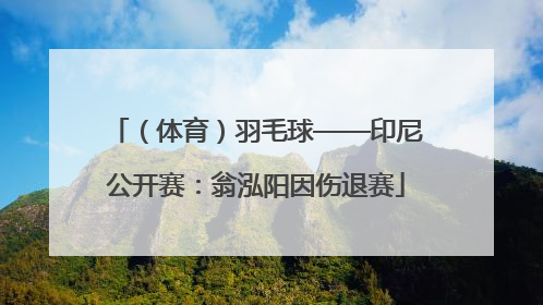 （体育）羽毛球——印尼公开赛：翁泓阳因伤退赛