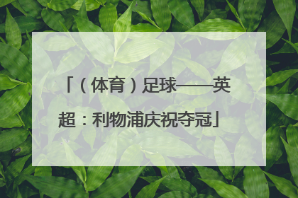 （体育）足球——英超：利物浦庆祝夺冠