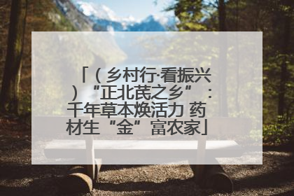 （乡村行·看振兴）“正北芪之乡”：千年草本焕活力 药材生“金”富农家