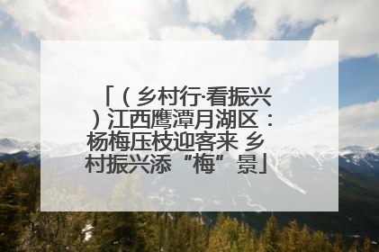 （乡村行·看振兴）江西鹰潭月湖区：杨梅压枝迎客来 乡村振兴添“梅”景