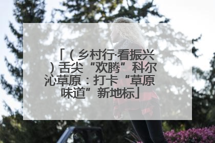 （乡村行·看振兴）舌尖“欢腾”科尔沁草原：打卡“草原味道”新地标