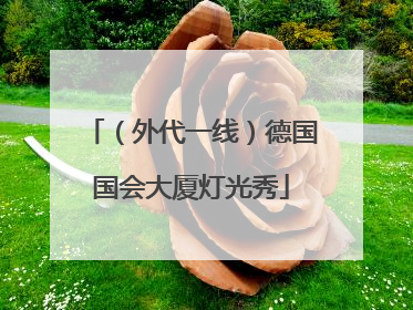 （外代一线）德国国会大厦灯光秀
