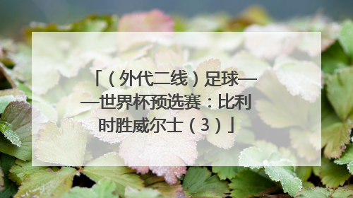 （外代二线）足球——世界杯预选赛：比利时胜威尔士（3）