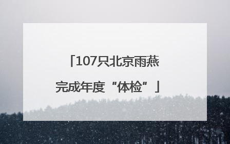 107只北京雨燕完成年度“体检”