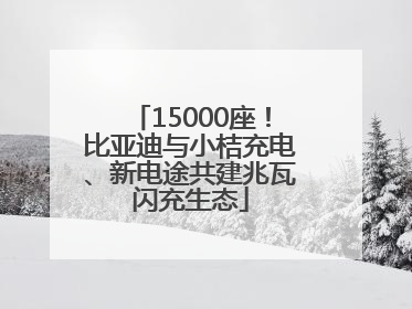15000座！比亚迪与小桔充电、新电途共建兆瓦闪充生态