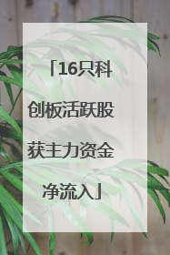 16只科创板活跃股获主力资金净流入