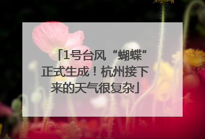 1号台风“蝴蝶”正式生成！杭州接下来的天气很复杂
