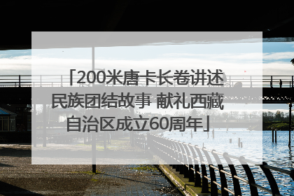 200米唐卡长卷讲述民族团结故事 献礼西藏自治区成立60周年