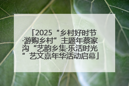 2025“乡村好时节·游购乡村”主题年蔡家沟“艺韵乡集·乐活时光”艺文嘉年华活动启幕