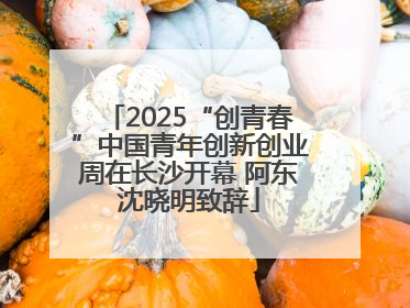 2025“创青春”中国青年创新创业周在长沙开幕 阿东沈晓明致辞