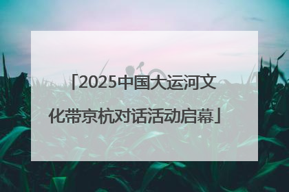 2025中国大运河文化带京杭对话活动启幕