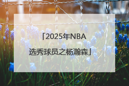 2025年NBA选秀球员之杨瀚森