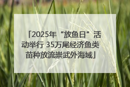 2025年“放鱼日”活动举行 35万尾经济鱼类苗种放流崇武外海域