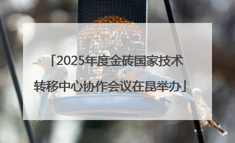 2025年度金砖国家技术转移中心协作会议在昆举办