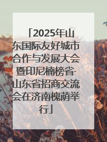 2025年山东国际友好城市合作与发展大会暨印尼楠榜省·山东省招商交流会在济南槐荫举行