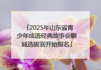 2025年山东省青少年成语经典故事会聊城选拔赛开始报名